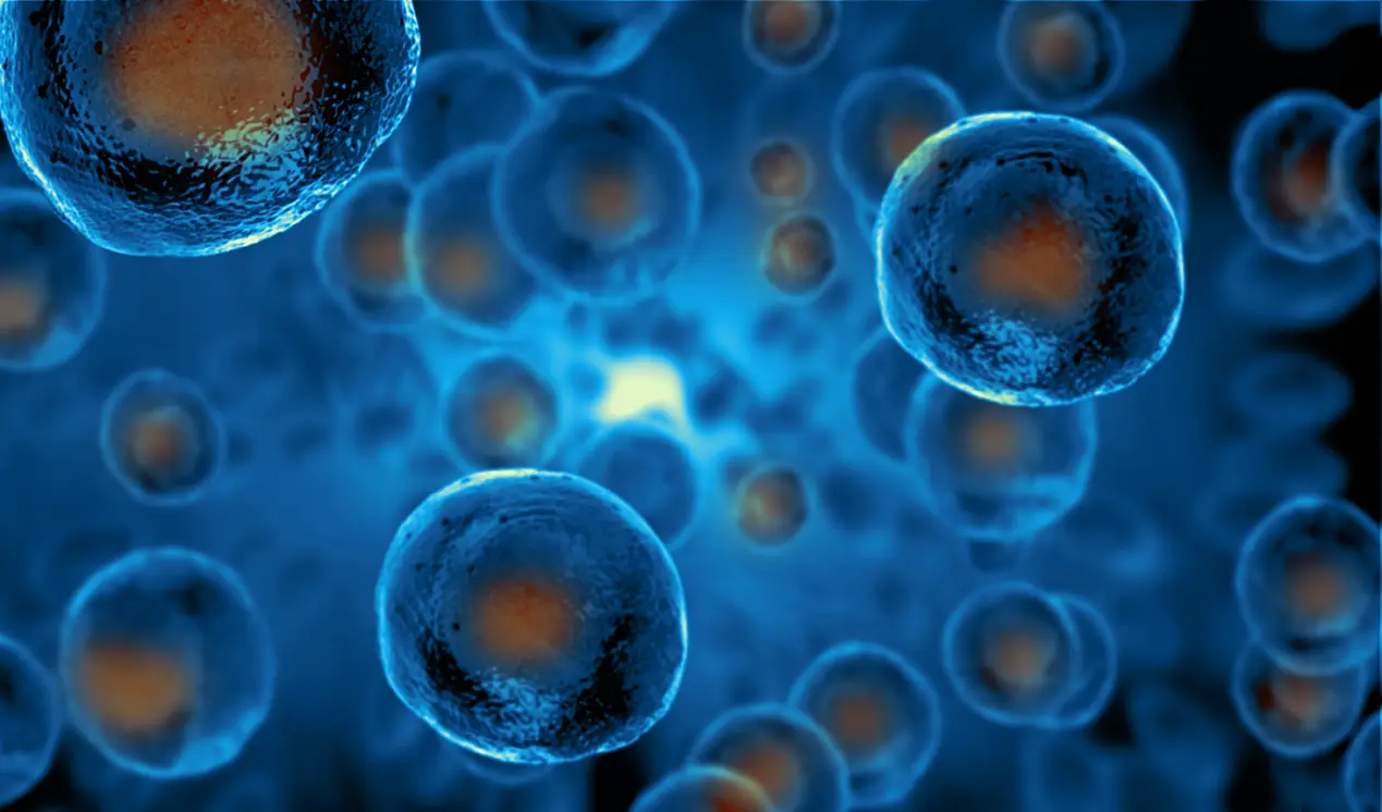 Exosomes