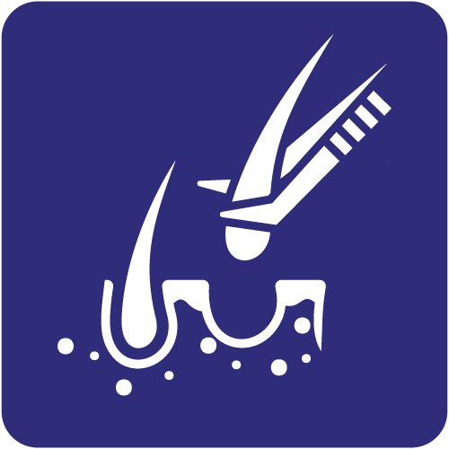 Hair Transplant Procedure